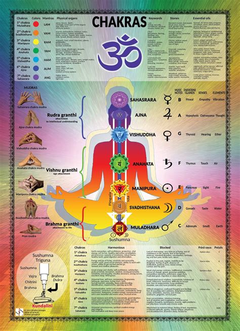 Wall Poster Of Definitions And Meanings Of Major Chakras Etsy