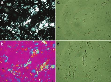 -four plm images of talc obtained from a talc ore sample from the ...