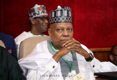 Extra Ill Retire Atiku To Rearing Of Cows And Chickens Says Shettima