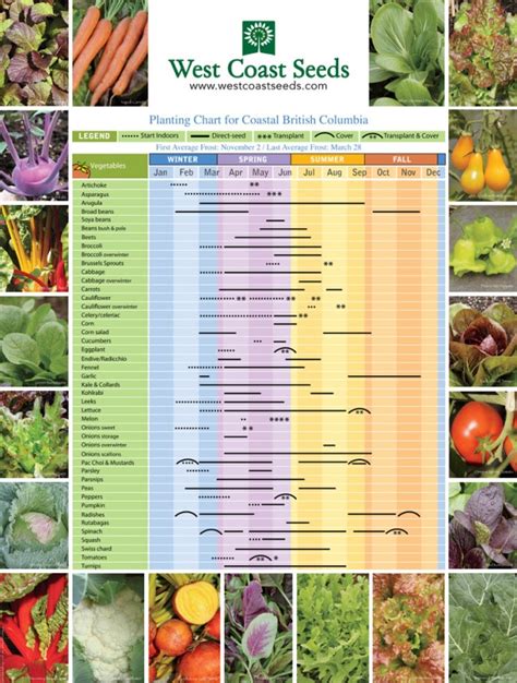 Seasonal Observations Garden Planting Chart Plants Seed Planting Chart Fall Vegetables