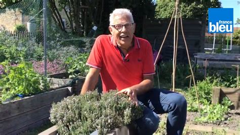 VIDEO Roland Motte Jardinier Le Thym L Incontournable Du Jardin