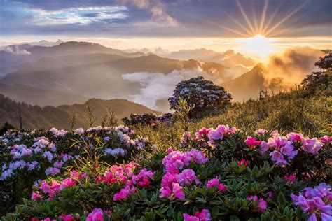 mountains, landscape, nature, clouds, sky, grass, sunrise, flowers ...