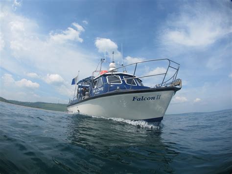 diving devon falcon diving charters