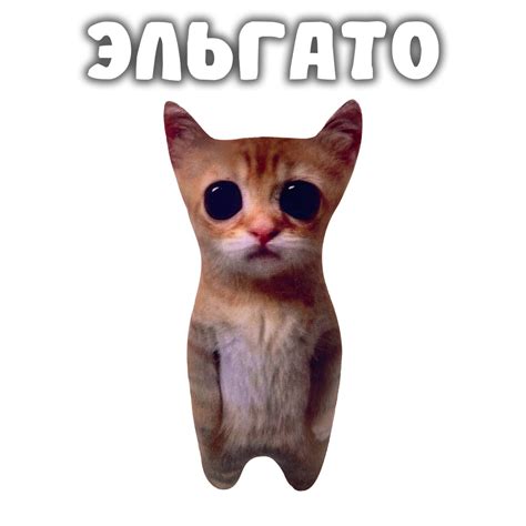 Плюшевая игрушка Кот Эльгато - купить с доставкой по выгодным ценам в ...