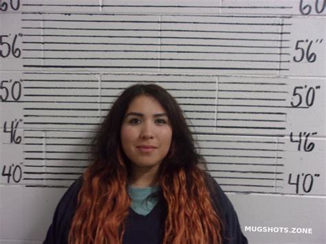 SANCHEZ CYNTHIA 10/27/2023 - Socorro County Mugshots Zone