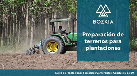 Preparaci N De Terrenos Para Plantaciones Forestales Pfc Bozkia