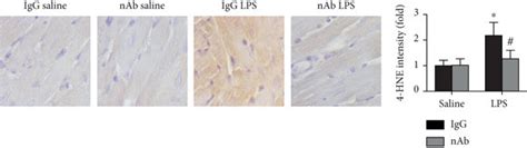 Effects Of Anti Il 16 Nab On Oxidative Stress In Septic Mice A