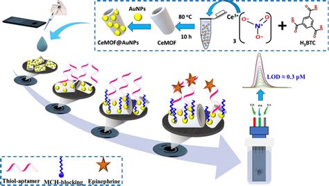 Schematic Illustration Of The Electrochemical Biosensor Assembly