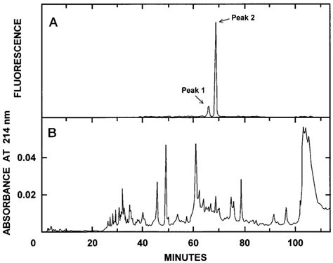 Reversed Phase Hplc Of The Tryptic Digest Of The Ca Atpase Purified