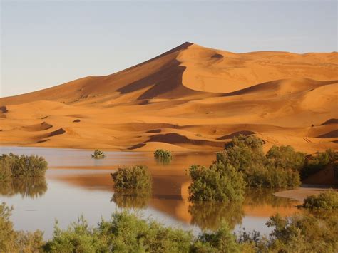 North And Desert Adventure From Casablanca 7 Days Morocco No Worries