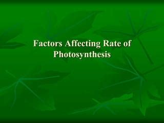 Factors Affecting Photosynthesis | PPT