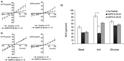 Effect Of Disruption Of The Ndpk B Cftr Complex On The Magnitude Of