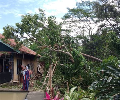 Satu Rumah Rusak Tertimpa Pohon Akibat Longsor Di Kali Cinangsi Fokus