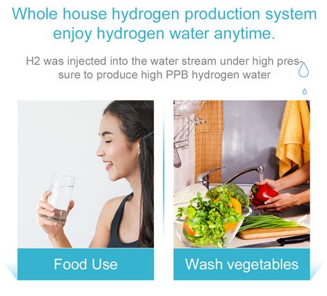 Ppb Whole House Hydrogen Water Generator System Suyzeko