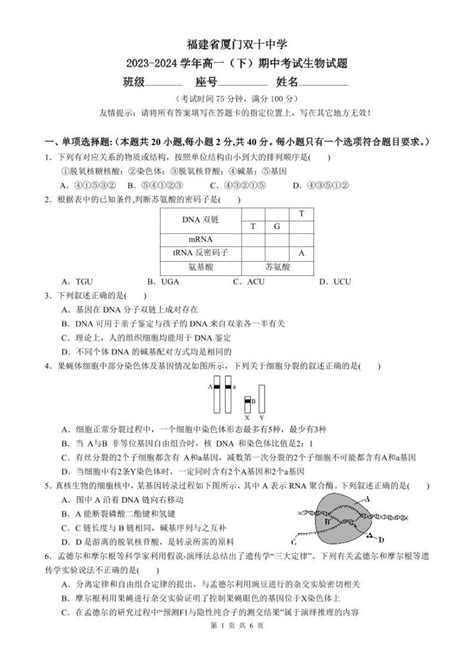 福建省厦门市湖里区厦门双十中学2023 2024学年高一下学期5月期中考试生物试题 教习网试卷下载