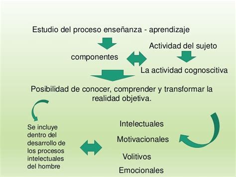 Formas De Organizacion Del Proceso De Enseñanza Aprendizaje Cómo Enseñar