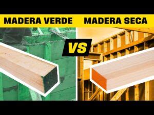 Qu Diferencias Hay En Las Propiedades Entre La Madera Verde Y La