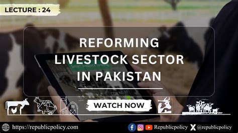 Lecture 24 Reforming Livestock Sector In Pakistan Republic Policy