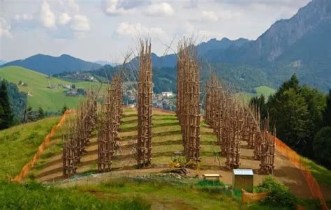 Beautiful Tree Cathedral Landscape By Giuliano Mauri • 1001 Gardens