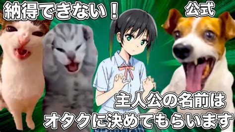 アニメ主人公の名前をオタクに決めさせたラブライブ【猫ミーム】 猫マニ 猫ミーム Youtube