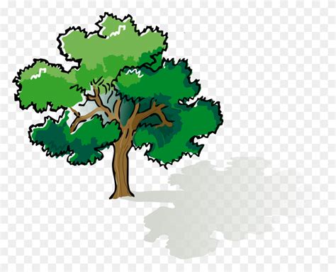 Oak Tree Tree Clipart Clipart Image 24892 Images