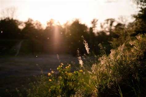 Managing Allergies In Spring Using A Dehumidifier Ebac