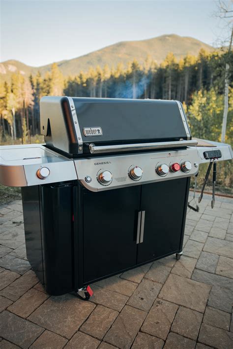 Genesis E S Barbecues From Weber Architonic