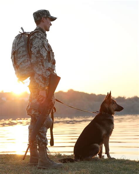 From Ptsd To A Better Life The Benefits Of Service Dogs For Veterans