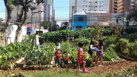 Horta Comunitária o que é como funciona e exemplos