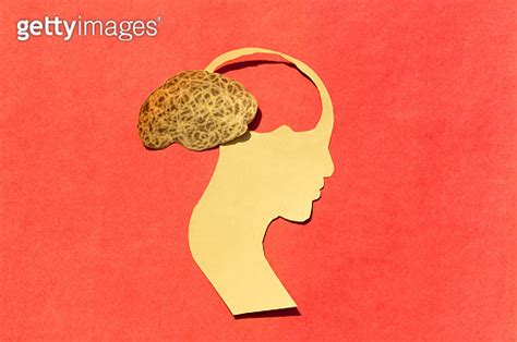human brain isolated  human head paper illustration feelings