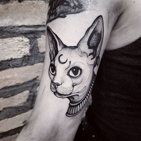 Gorgeous Sphynx Cat Tattoo Designs Amazing Tattoo Ideas