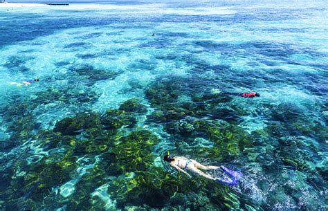 Great Barrier Reef Cairns