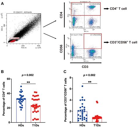 Cd Cd T Lymphocytes Are Associated With Er Stress And Inflammasome