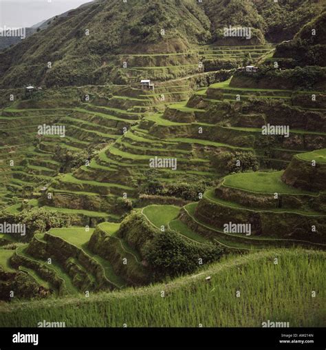 Geography Travel Philippines Banaue Rice Terraces Wonder Of The