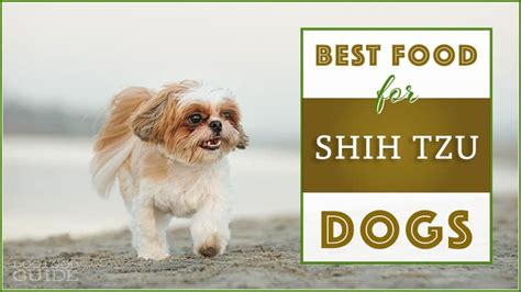 10 Best Dog Food For Shih Tzu Keep Your Small Dog Healthy