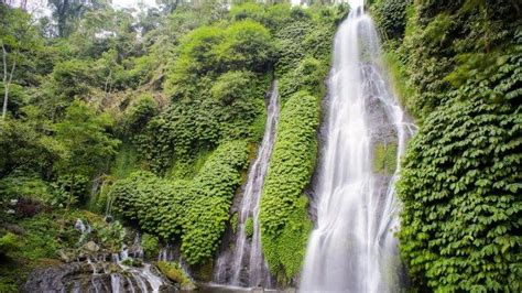 Harga Tiket Masuk Banyumala Twin Waterfalls Buleleng Bali Terbaru 2021