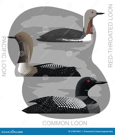 Cute Bird Common Loon Set Cartoon Vector Stock Vector Illustration Of