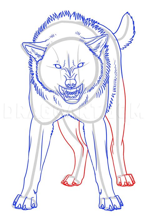 How To Draw An Angry Wolf Step By Step Drawing Guide By Makangeni