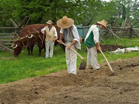 Though I was raised by fairly unsucessful farmers, I was determined to ...