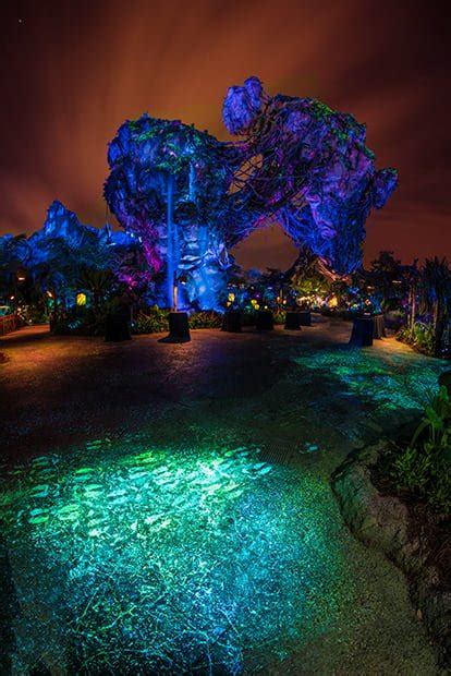 Ultimate Guide to Pandora - World of Avatar - Disney Tourist Blog