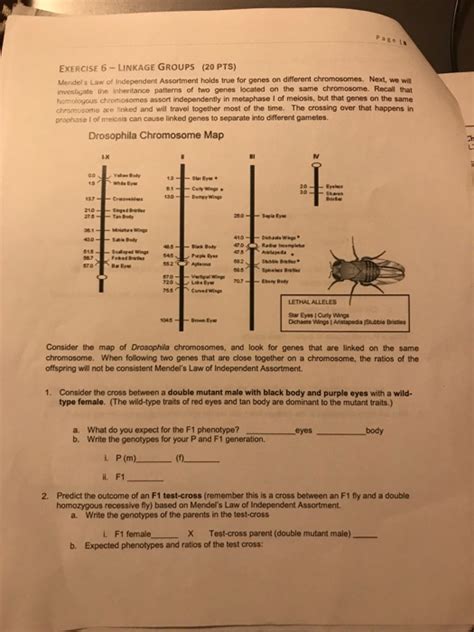 Solved Pagets Exercise 5 Reciprocal Crosses For Sex Linked