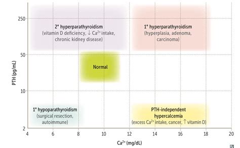 Hypercalcemia And Hyperparathyroidism Psychdb