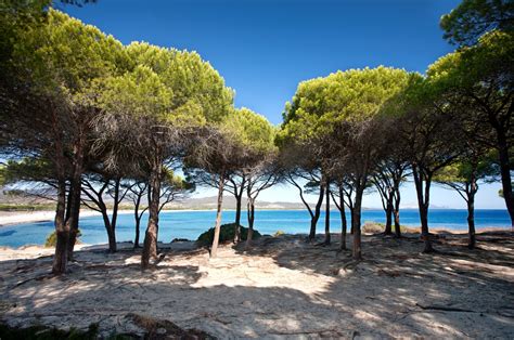 Cala Di Budoni Sardegnaturismo Sito Ufficiale Del Turismo Della