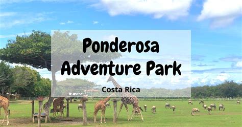 Ponderosa Adventure Park Review - Liberia Costa Rica