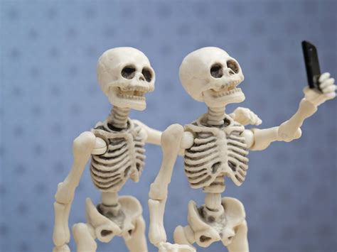 Class 5 Bones And Muscles The Skeletal System Worksheet Solved