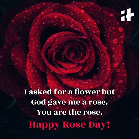 Happy Rose Day 2023 Wishes Messages Sms Quotes Images And Whatsapp Status For Your Beloved