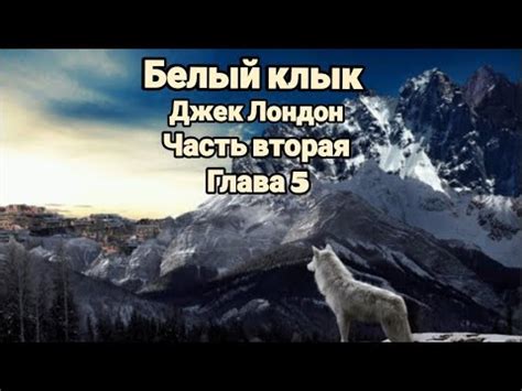 "Белый клык"/Джек Лондон/Часть вторая/Глава 5/"Закон добычи" - YouTube