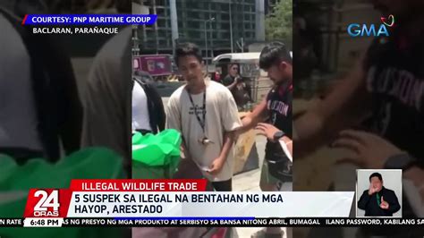 5 Suspek Sa Ilegal Na Bentahan Ng Mga Hayop Arestado 24 Oras Video