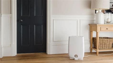 7 Common Dehumidifier Mistakes You Could Be Making — And How To Avoid Them