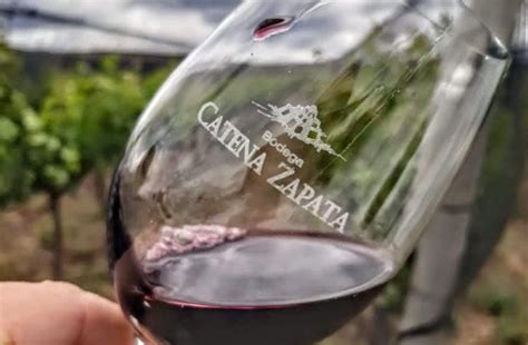 Catena Zapata La Marca De Vinos M S Admirada Del Mundo Modo Viernes